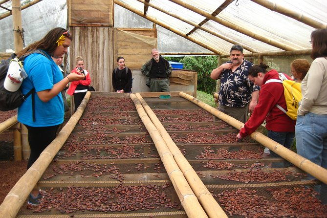 mindo-cloud-forest-private-day-tour-and-chocolate-factory