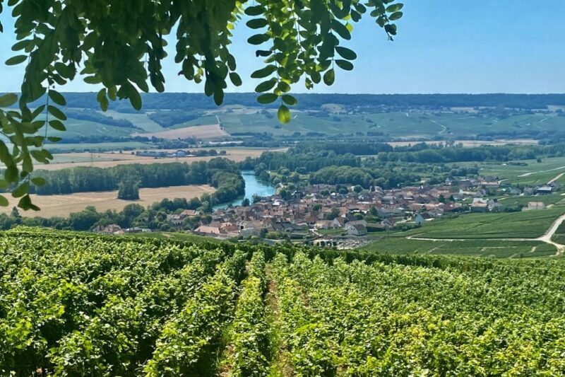 moet-et-chandon-veuve-clicquot-pommery-private-champagne-trip