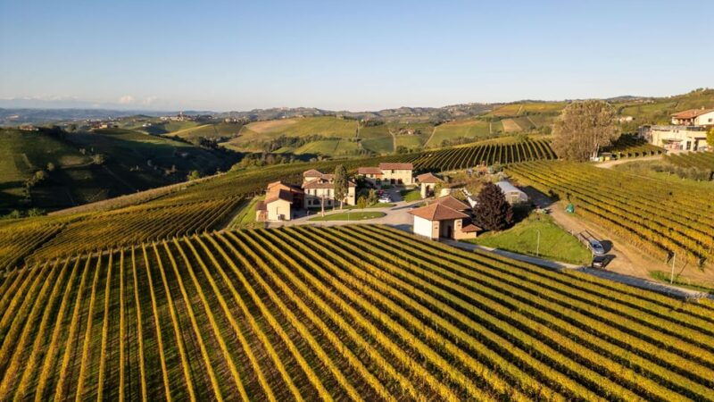 monforte-dalba-tasting-of-iconic-langhe-wines-and-winery-tour