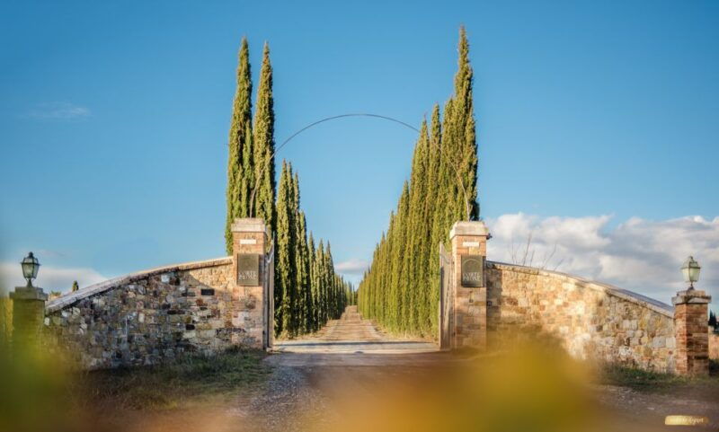 montalcino-gourmet-wine-food-tasting