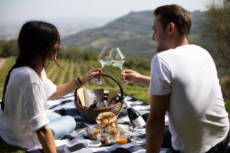 montalcino-vineyard-picnic-with-a-bottle-of-wine