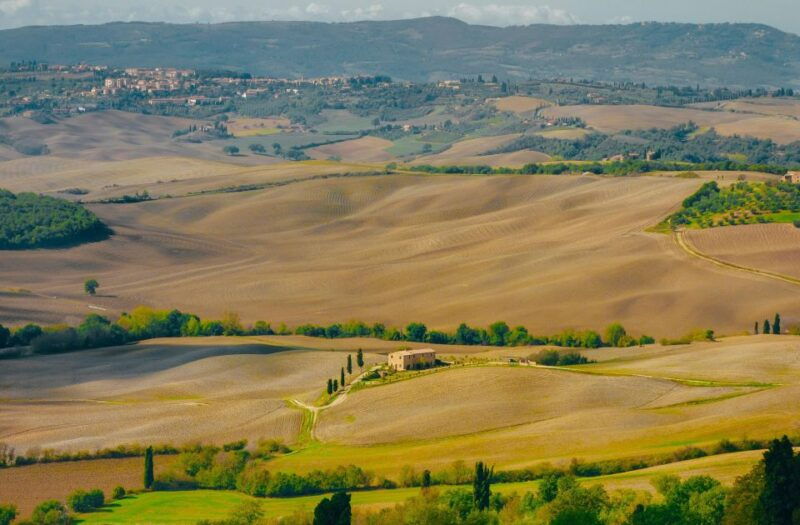montepulciano-wine-tasting-lunch-in-a-typical-winery-2