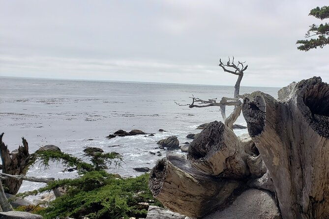 monterey-carmel-sightseeing-private-tour-10-hour-minimum