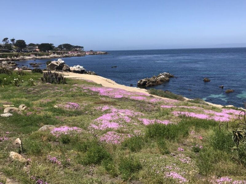 monterey-peninsula-sightseeing-tour-including-17-mile-drive