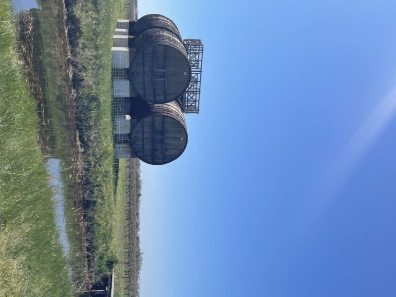 montpellier-half-day-wine-tour-in-camargue