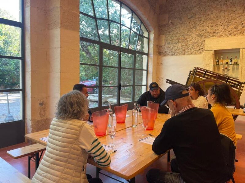 montpellier-half-day-wine-tour-with-lunch