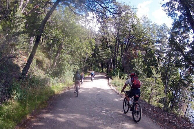 mountain-bike-adventure-in-bariloche-half-day-tour-in-private-service