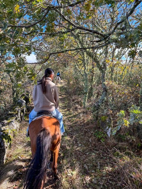 mountain-horseback-ride-lunch-wine-tasting