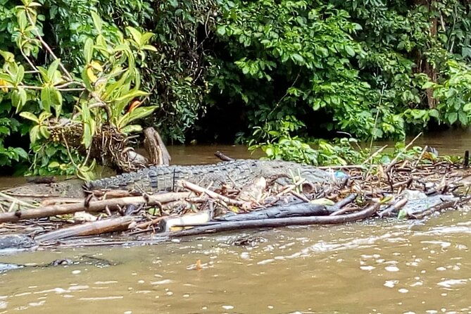 multi-day-all-inclusive-at-tortuguero-with-a-tour-at-national-park-from-san-jose