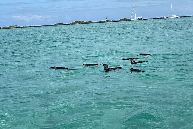 multi-day-tour-around-galapagos-islands