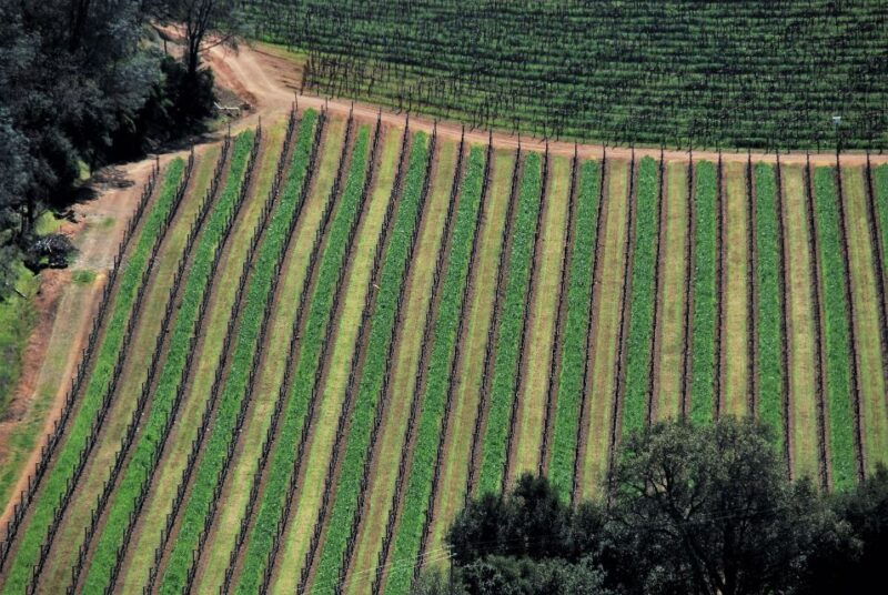 napa-valley-airplane-napa-valley-tour