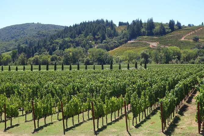 napa-valley-wine-tasting-tour-6-to-8-hours-max-14-passenger