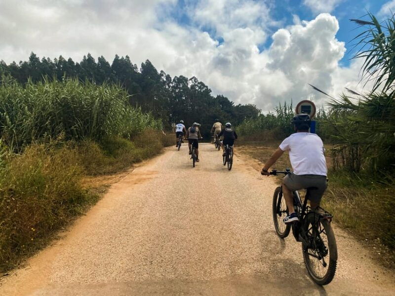 nazare-obidos-e-bike-and-wine-tour