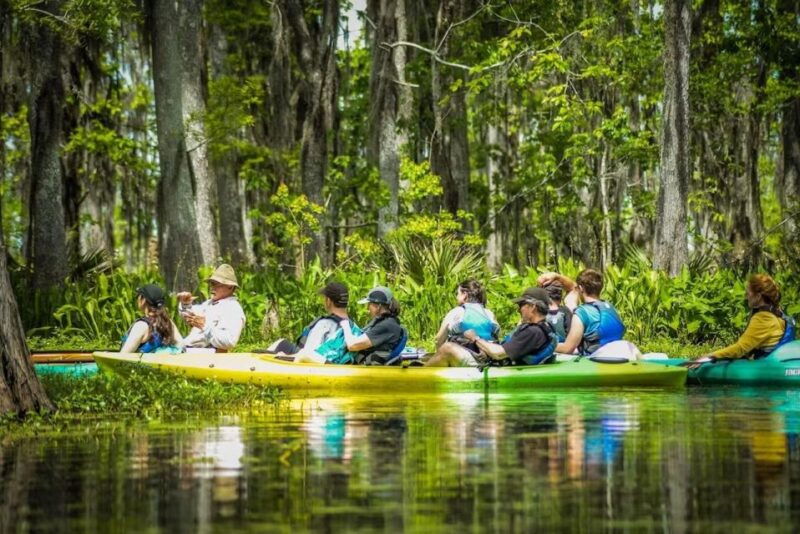 new-orleans-manchac-magic-kayak-swamp-tour