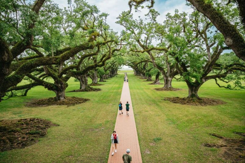 new-orleans-oak-alley-plantation-and-swamp-cruise-day-trip