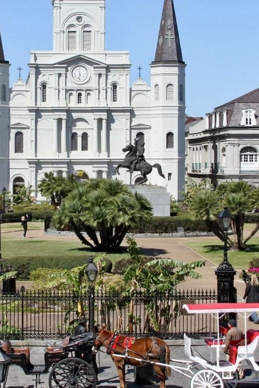 new-orleans-private-guided-city-tour