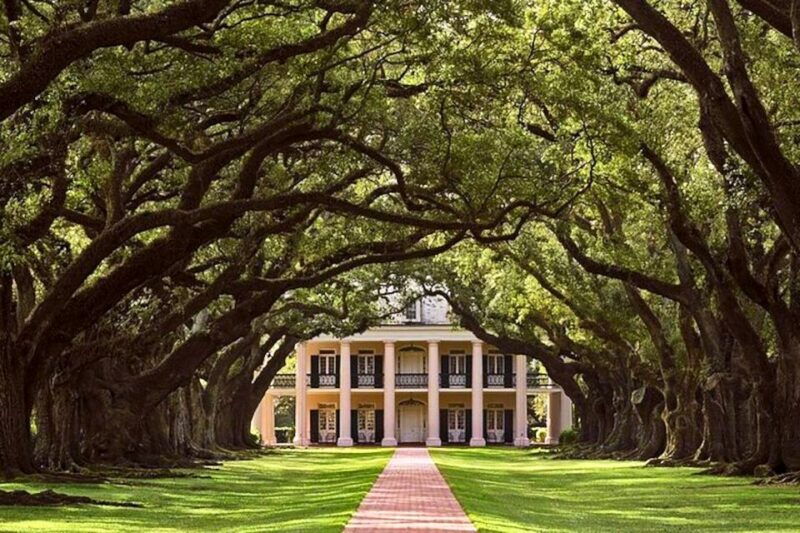 new-orleans-swamp-boat-ride-and-historic-plantation-tour