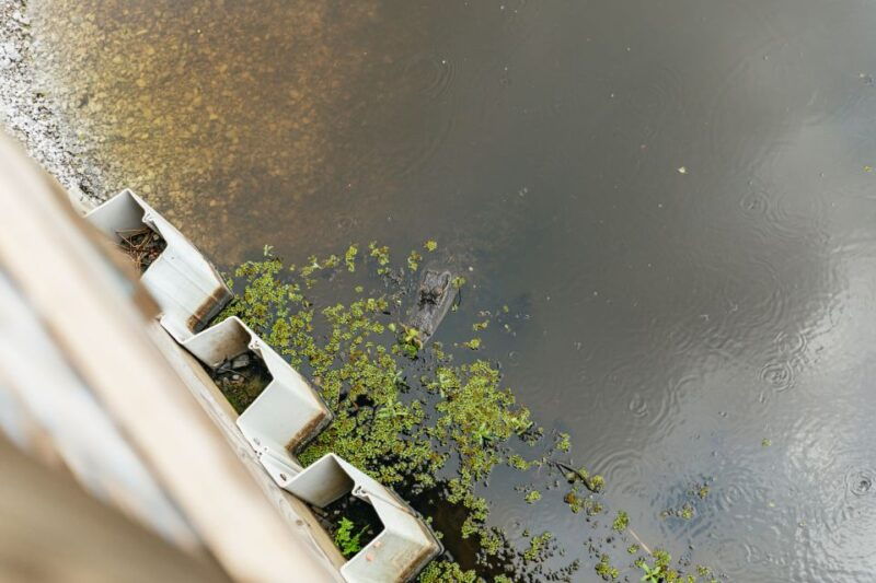 new-orleans-swamp-zipline-tour