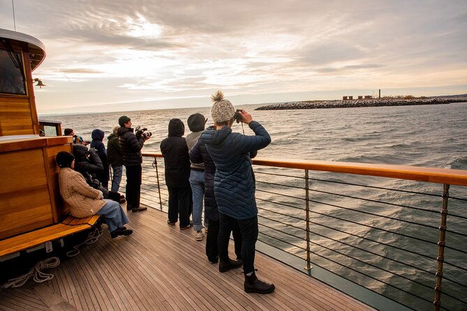 new-york-city-sightseeing-and-seals-boat-tour