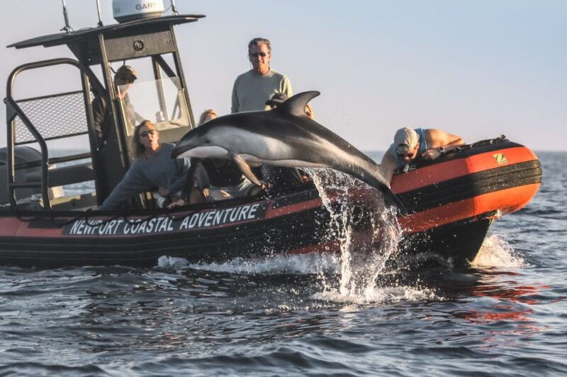 newport-beach-ultimate-whale-watching-adventure