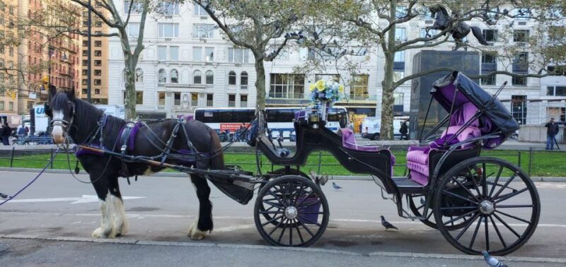 nyc-private-christmas-lights-horse-carriage-ride-2