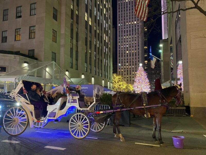 nyc-private-christmas-lights-horse-carriage-ride