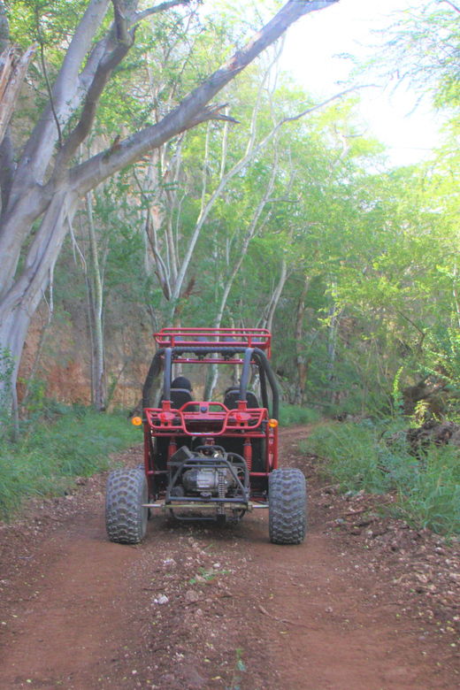 oahu-coral-crater-zipline-and-offroad-atv-adventure