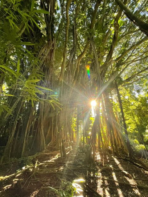 oahu-hidden-hawaii-waterfall-hike-and-beach-tour