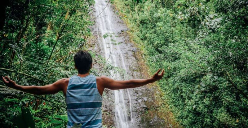 oahu-manoa-falls-waterfall-hike-with-lunch-and-transfers