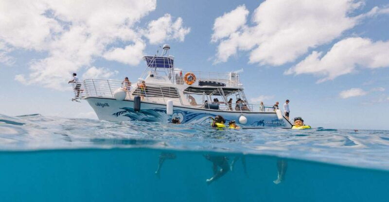 oahu-turtle-canyon-snorkeling-hula-dance
