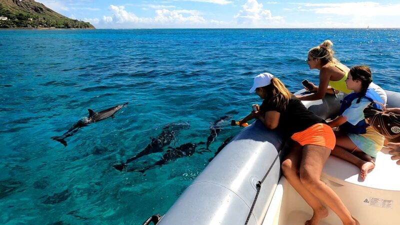 oahu-waikiki-private-snorkeling-and-wildlife-boat-tour