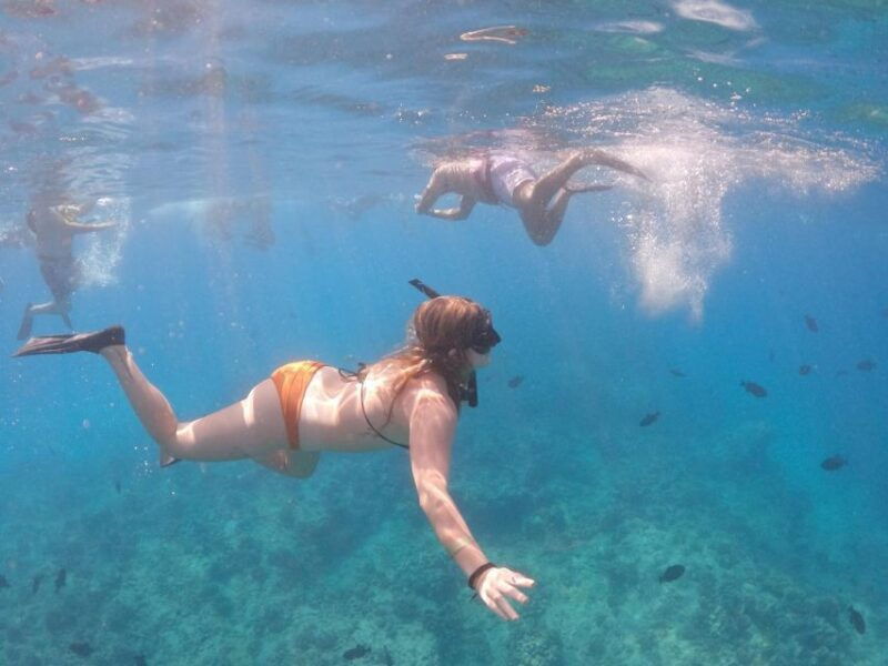 oahu-waikiki-turtle-snorkeling-adventure-cruise