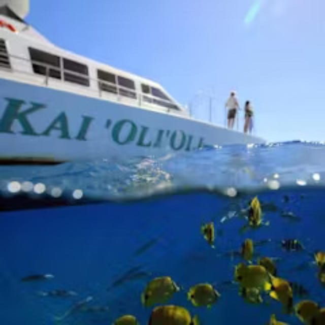 oahu-whales-dolphins-snorkeling-cruise-with-hawaiian-meal