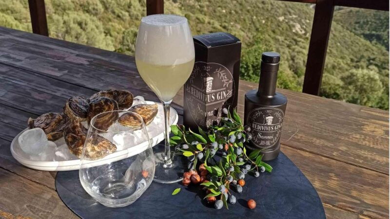 olbia-visit-a-gin-making-factory-with-tasting