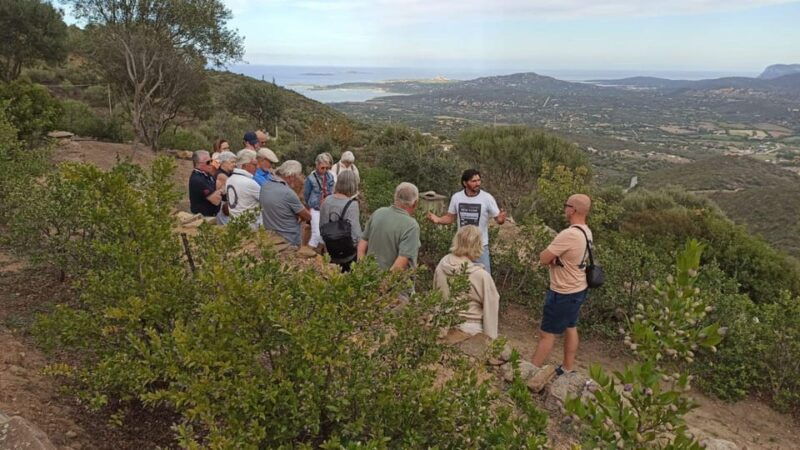 olbia-visit-a-myrtle-making-factory-with-tasting-2
