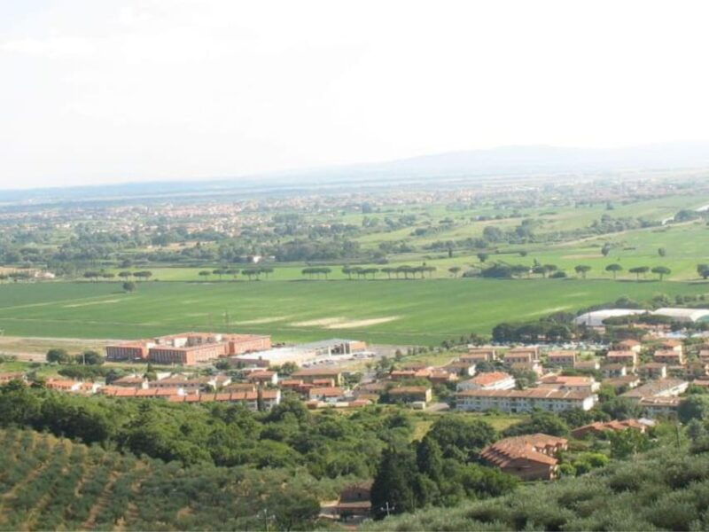 olive-mill-tour-with-oil-and-food-tastings-near-pisa