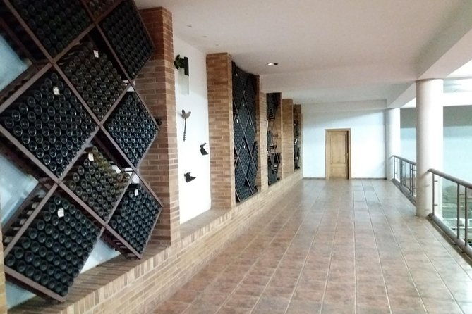 olive-oil-and-navarre-winery-visit-with-tastings-and-lunch-in-small-group-tour