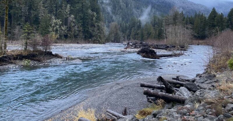 olympic-national-park-half-day-tour