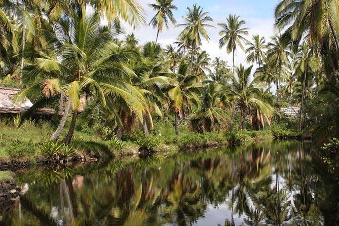 one-day-tour-hawaii-movie-tour-island-hopping-from-oahu-to-kauai
