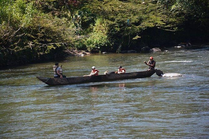 one-day-tour-in-the-jungle-all-inclusive