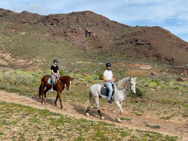 one-hour-horse-riding-tour-in-gran-canaria