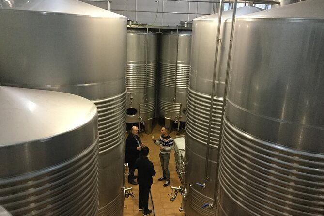 organic-winery-visit-with-tasting-in-bilbao