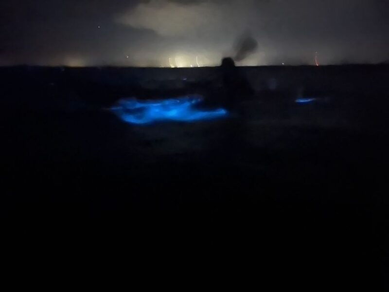 orlando-bioluminescence-kayak-adventure