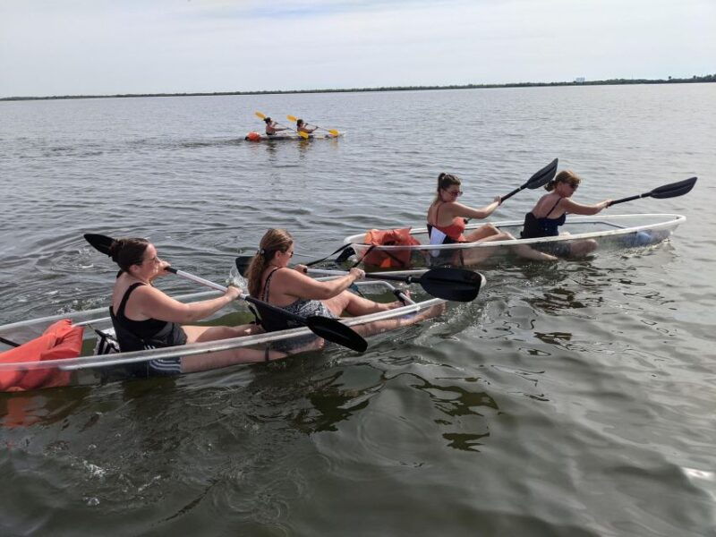 orlando-dolphin-clear-kayak-or-paddle-board-adventure