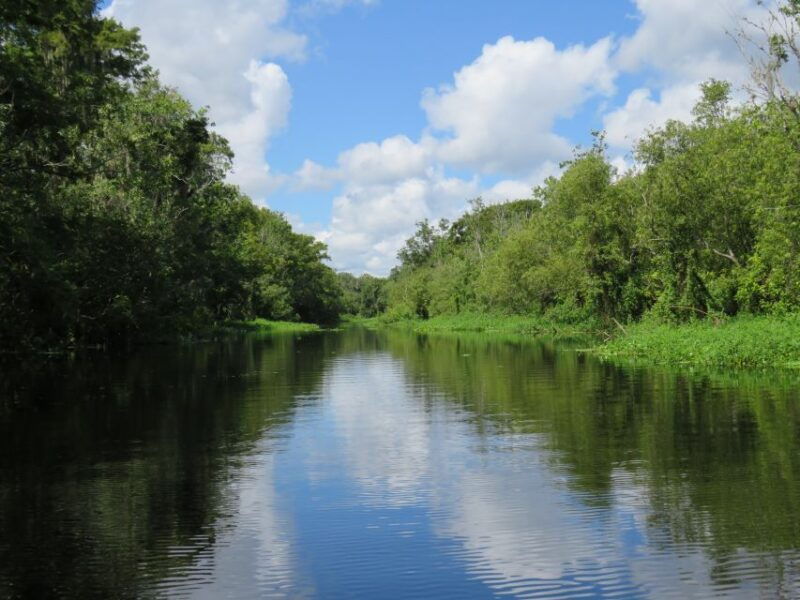 orlando-small-group-manatee-discovery-kayak-tour