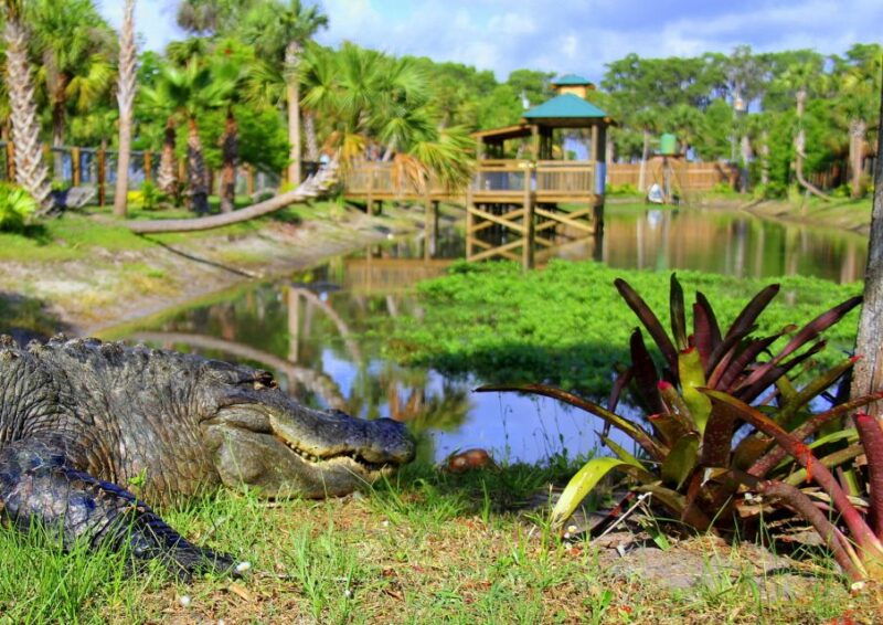 orlando-wild-florida-airboat-ride-with-transport-lunch