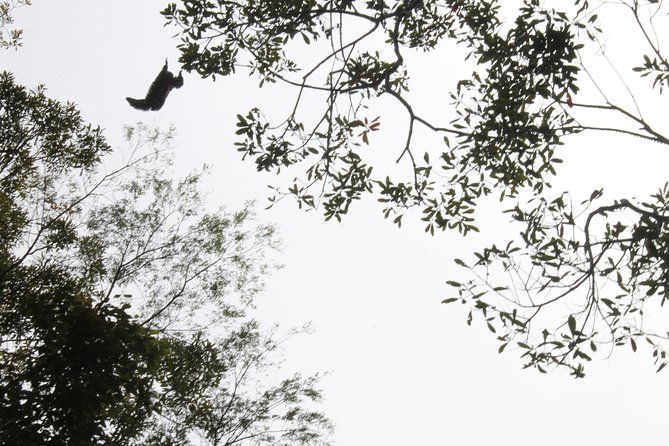 pacaya-samiria-national-park-full-day-tour