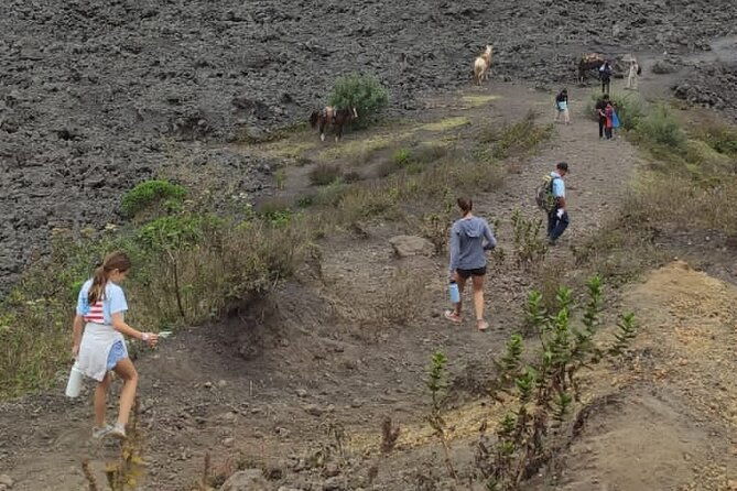 pacaya-volcano-excursion-from-guatemala-city