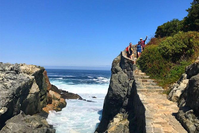 pacific-ocean-hike-private-tour-7k