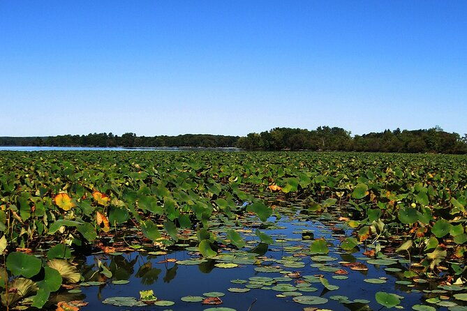 paddle-board-rental-in-indian-lake